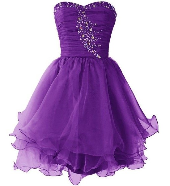 Short Purple Dress